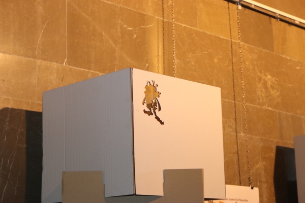 IMG_0478