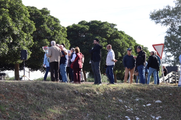 merinales-4
